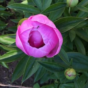 Meet your Posher, Melanie